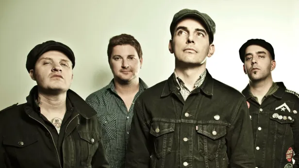 Street Dogs
