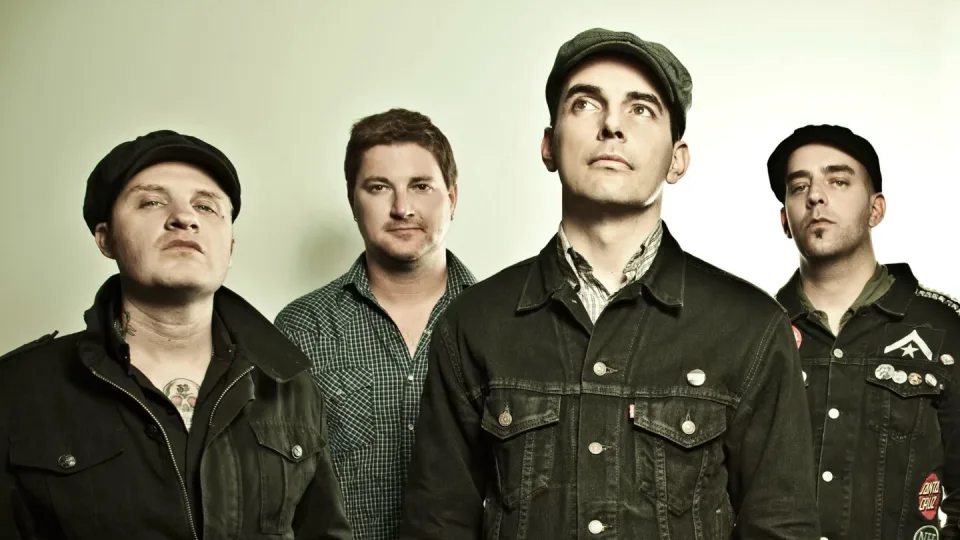 Street Dogs