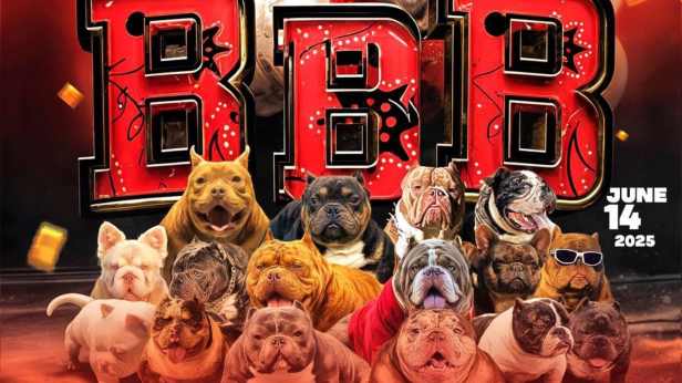 Triple B We Outchea Dog Show (South Florida Edition)