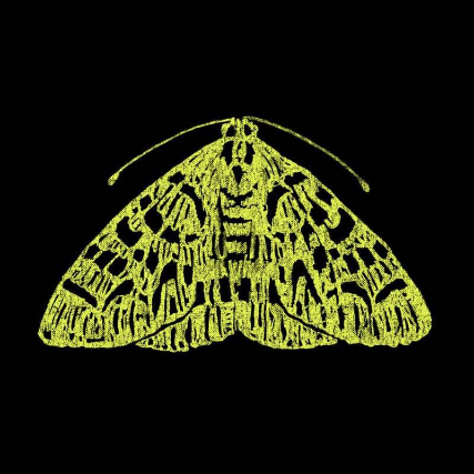 THE MOTH: REVENGE