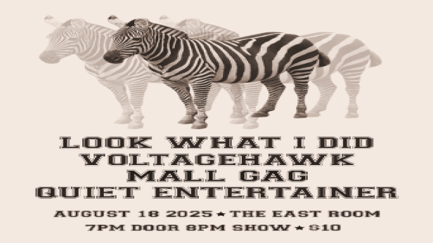 Jesse Baker's 40th Bday! Feat: Look What I Did / Voltagehawk / Mall Gag / Quiet Entertainer