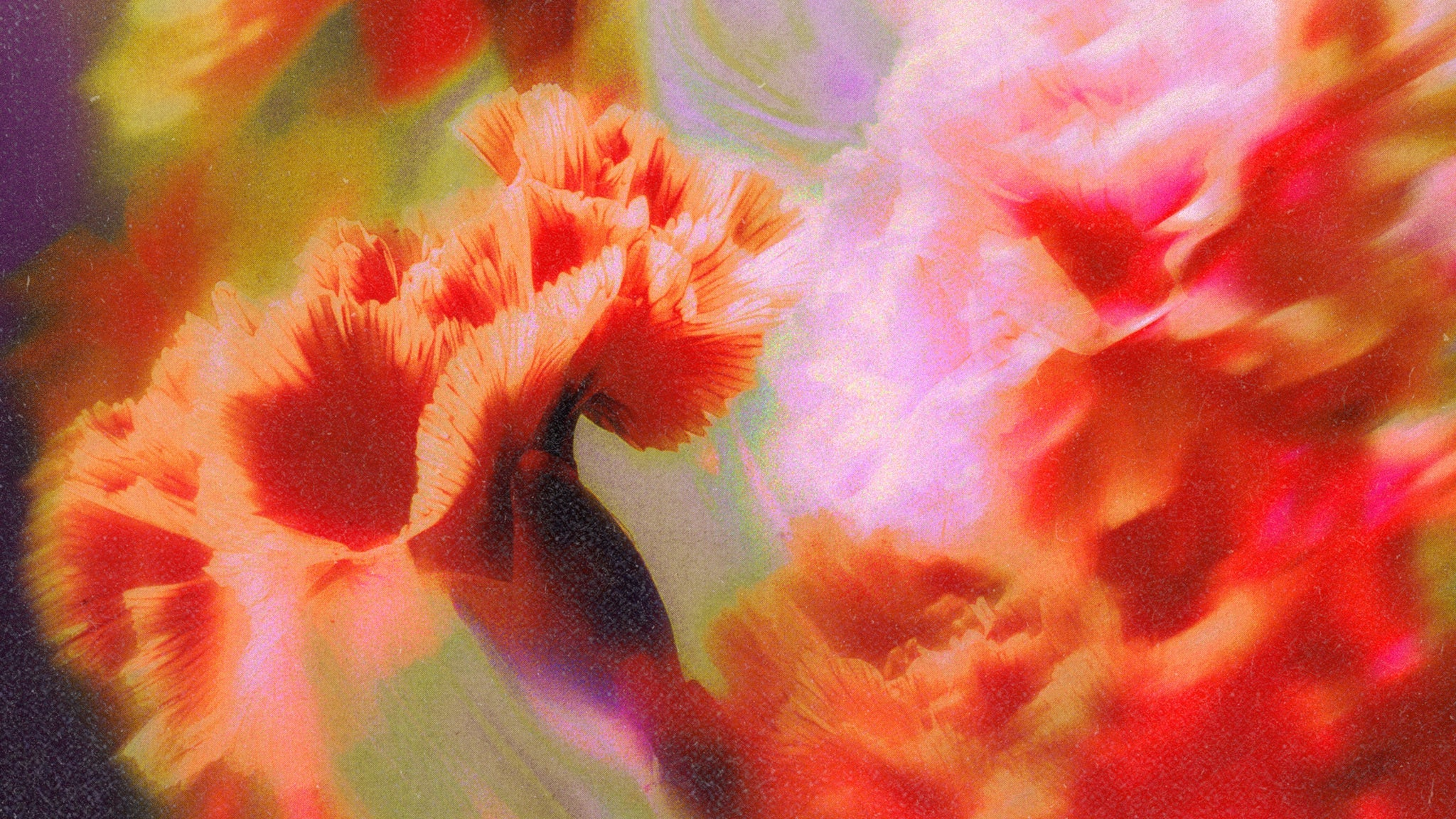 Blossom X Oliverse