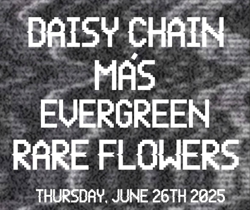 Daisy Chain / Mas / Evergreen / Rare Flowers