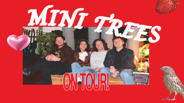 Mini Trees, LCN!