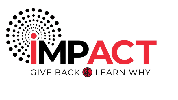 Impact: Give Back. Learn Why - Non Profit And Board Training