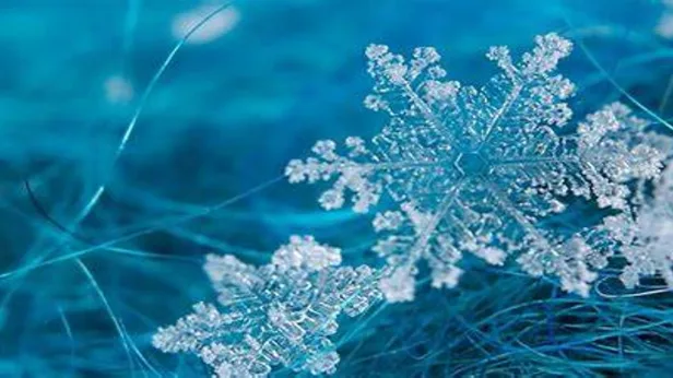 TEATIME- The Art of Snowflakes