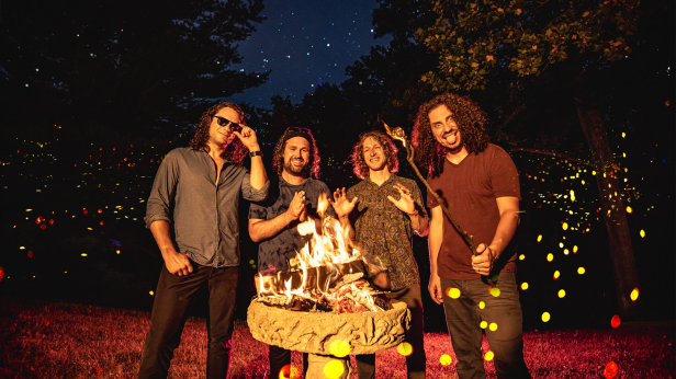 Pigeons Playing Ping Pong