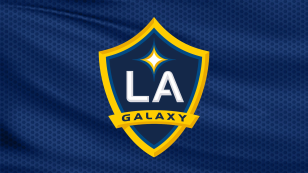Los Angeles Galaxy vs. D.C. United