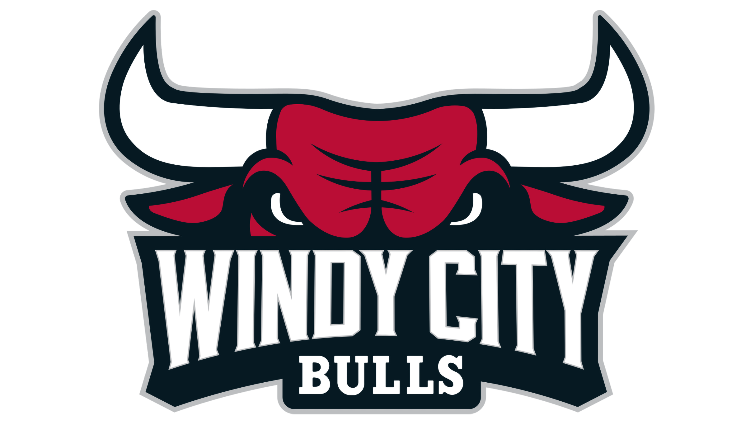 Windy City Bulls vs. Raptors 905