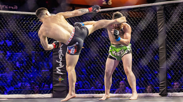 Reality Fighting: A Night of MMA Fights and Grappling Superfights