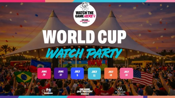 World Cup Watch Party - FINAL