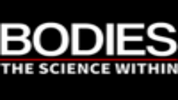 Bodies - The Science Within - Denver