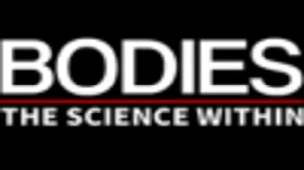 Bodies - The Science Within - Denver
