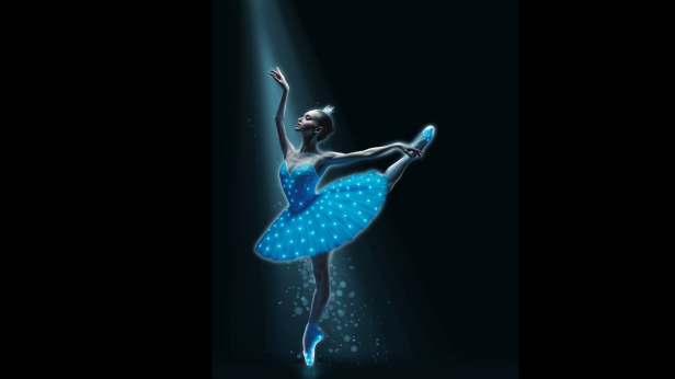 Swan Lake - Symphony of Lights