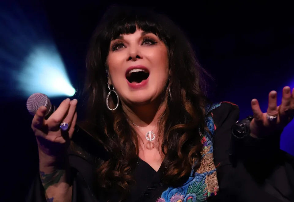 Reel To Reel: ANN WILSON: IN MY VOICE