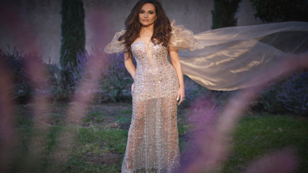 Deborah Silver:  Swingin' through the holidays featuring songs from GRAMMY® nominated Basie Rocks