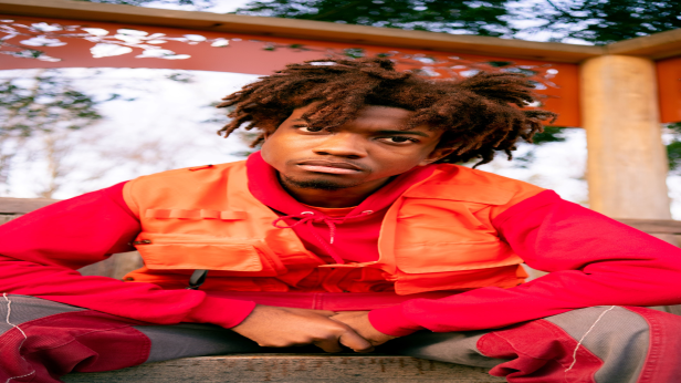 Redveil - the Sankofa Tour