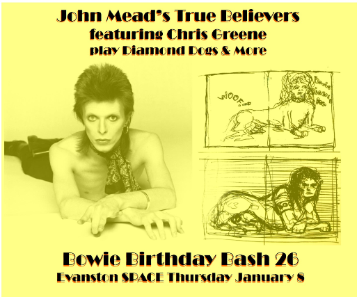 David Bowie Birthday Bash ft. The True Believers