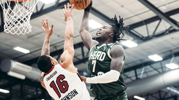 Wisconsin Herd vs. Grand Rapids Gold