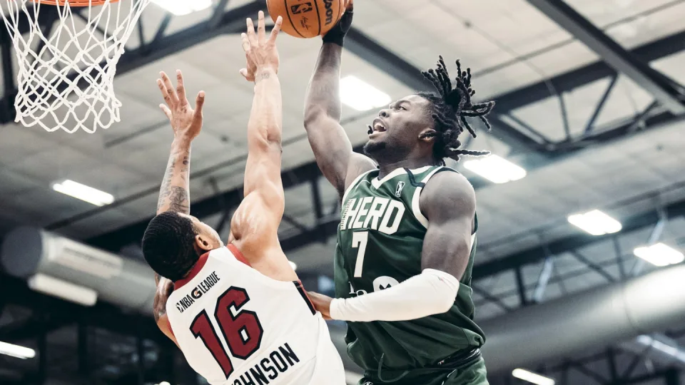 Wisconsin Herd vs. Valley Suns