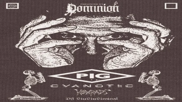 PIG