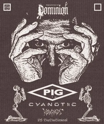 PIG