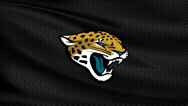 Preseason Game 1 - Pittsburgh Steelers v Jacksonville Jaguars