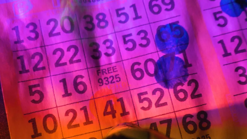 Bingo Unleashed