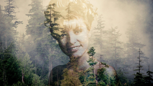 Twin Peaks