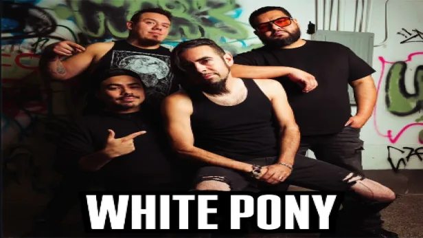 WHITE PONY / MADAME GUN