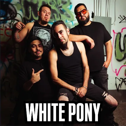 WHITE PONY / MADAME GUN