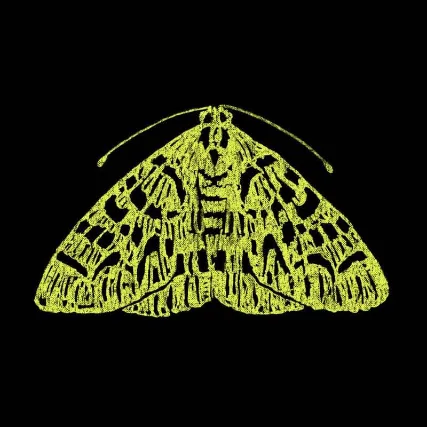 THE MOTH: SCHOOLED